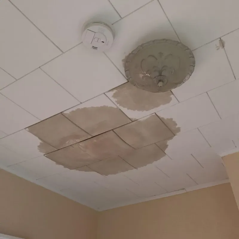 Ceiling Water Damage Repair in Gastonville, PA