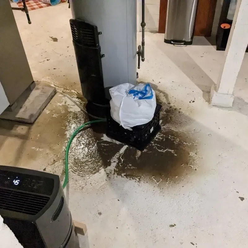 Sewage Backup Cleanup Service in Gastonville, PA